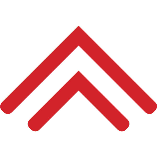 BAYLIN-SYMBOL-600 BAYLIN-SYMBOL-600